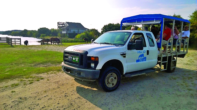 Bobs Wild Horse Tour Truck