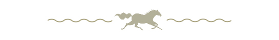 Corolla Horse Icon