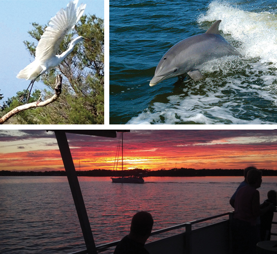 Captain Johnny's Dolphin Tours in Manteo Outer Banks