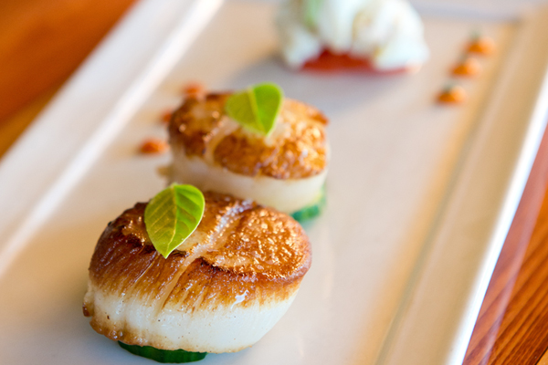 The Paper Canoe Restaurant - Duck - Scallops