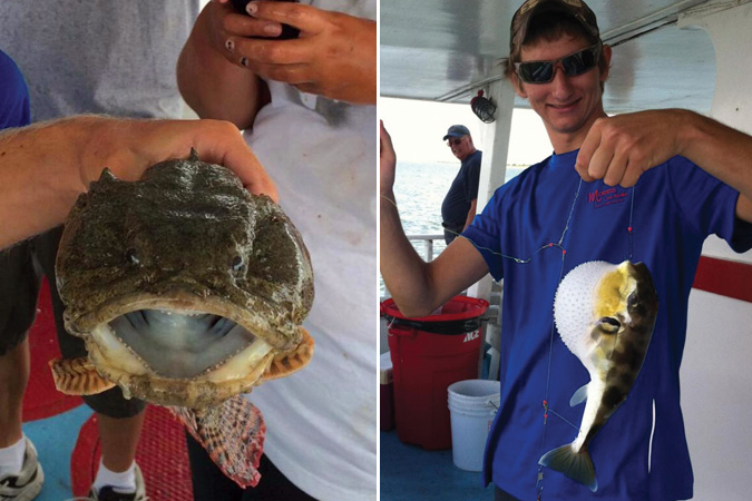 Fishing on Miss Oregon Inlet Headboat, Nags Head