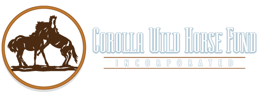Corolla Wild Horse Fund Logo