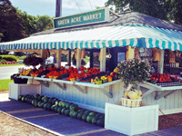 Green Acres Farm Market Stand