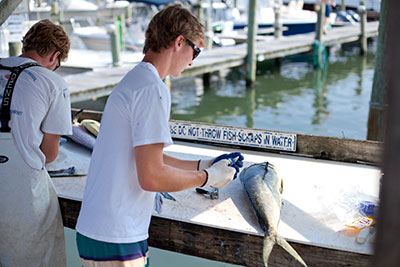 Outer Banks Commonly Caught Fish