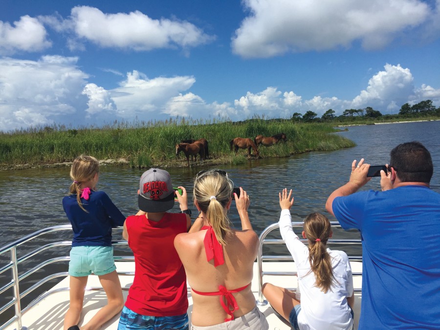 Family watches from a boat in awe as wild stallions graze through marsh