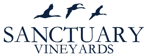 Sanctuary Vineyards Logo