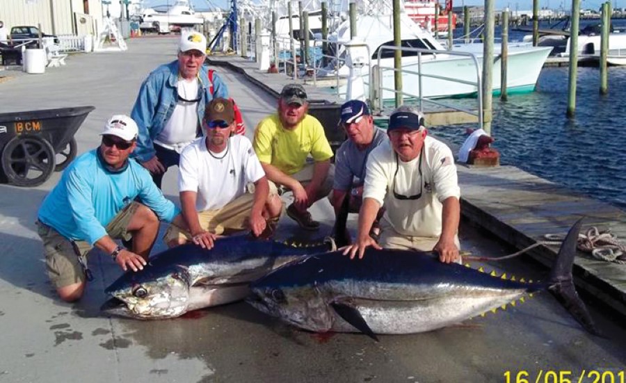 Kite Fishing for Bluefin and Inshore Fishing Off San Diego