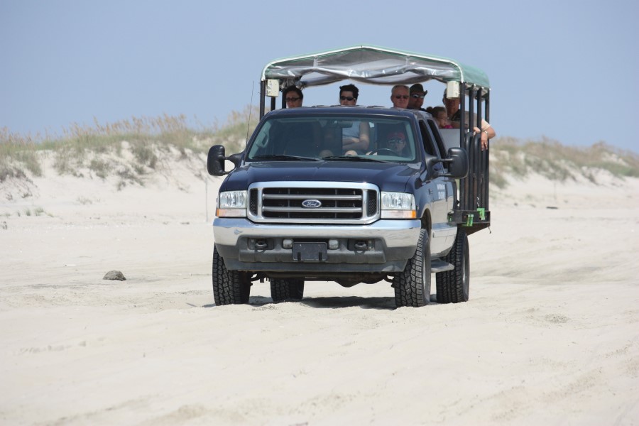 Back Beach Wild Horse Tours truck