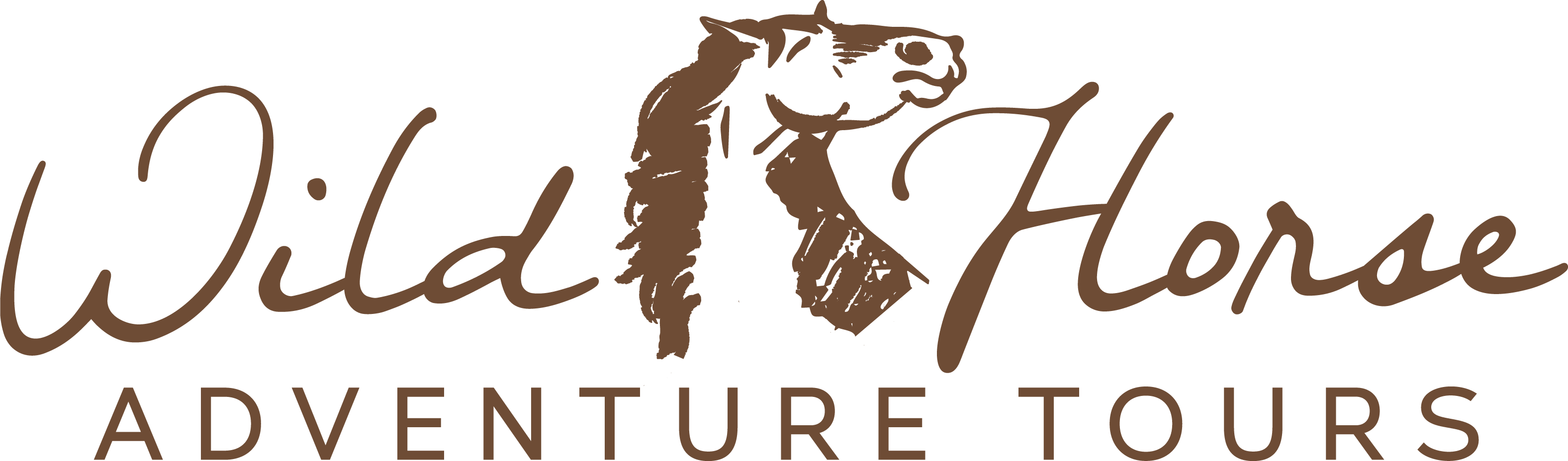 Wild Horse Adventure Tours logo