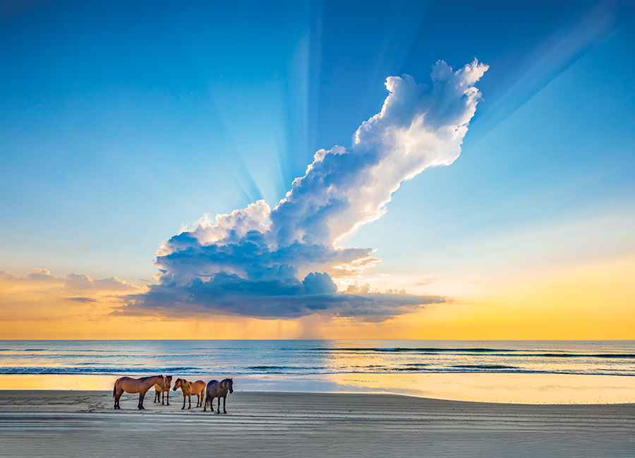 Wild Horses Sunrise in Corolla Dan Waters Photography