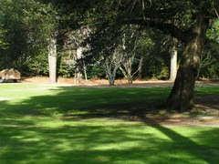 Yoga in the Gardens at Elizabethan Gardens, Manteo NC