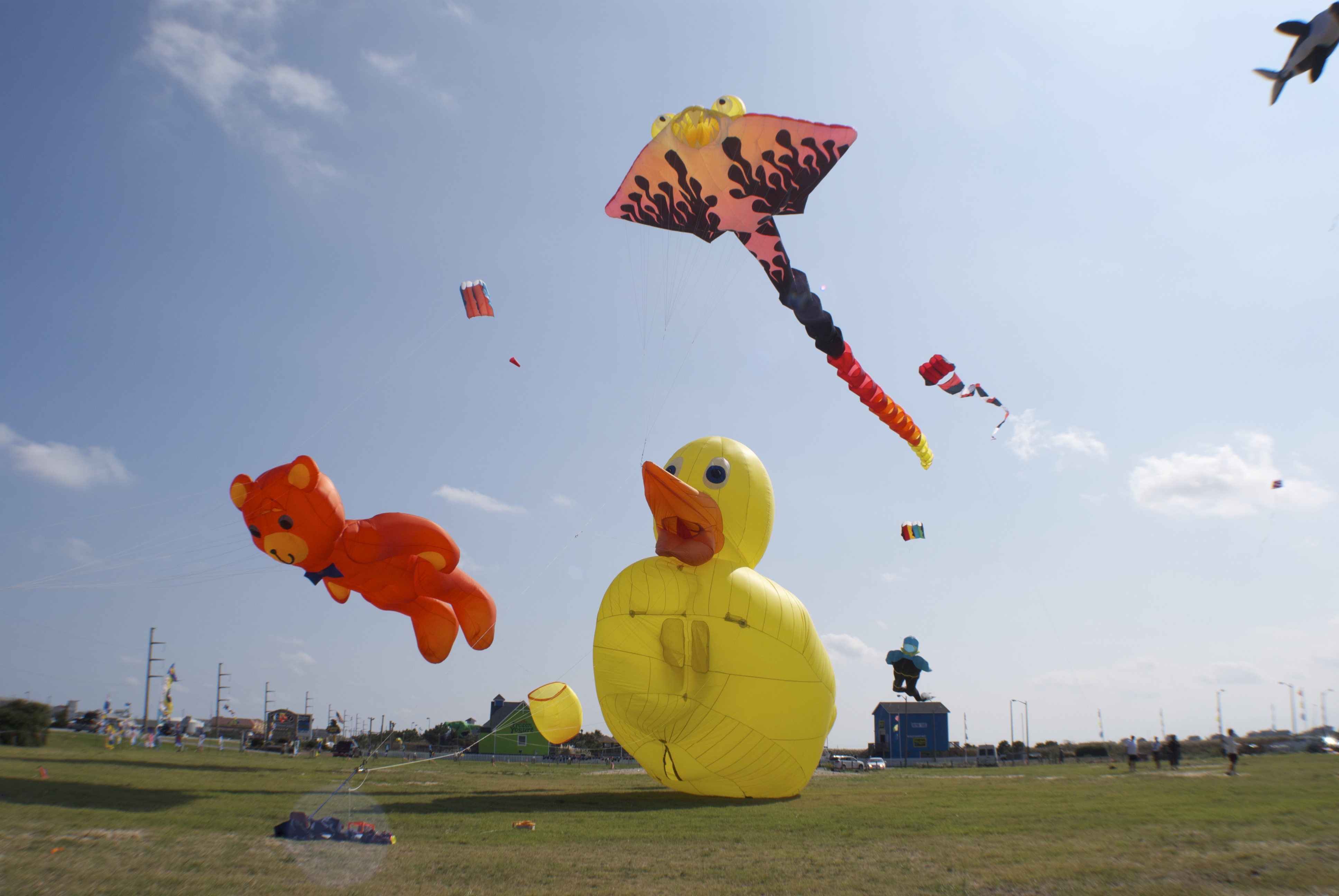 Wright Kite Festival