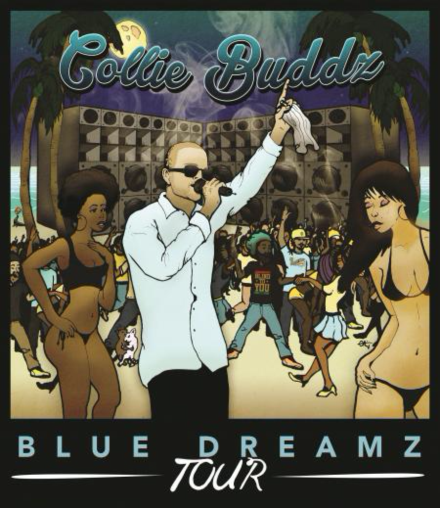 Collie Buddz Tour Poster