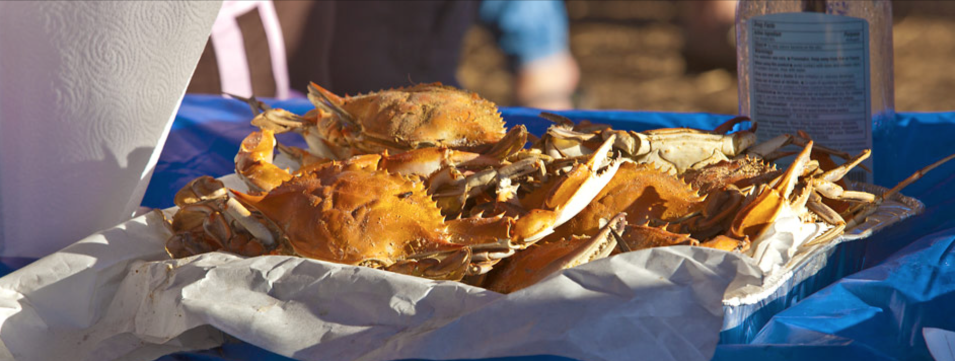 Outer Banks Seafood Festival