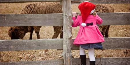 Christmas Past at the Island Farm