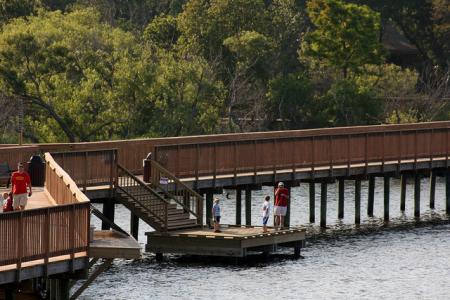 Nature Walk on the Duck Boardwalk