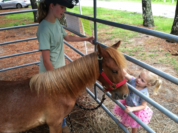 Meet a Mustang