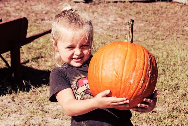 Pumpkin Patch -- Saturdays in October