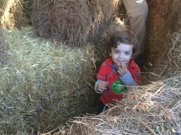 Elizabethan Gardens Harvest Hayday