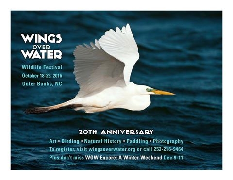 Wings Over Water Wildlife Festival Encore