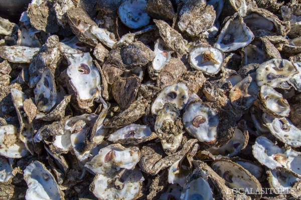 Stumpy Point Oyster Feast 