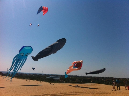 Wright Kite Festival 
