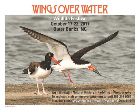 Wings Over Water Festival