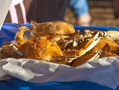 Outer Banks Seafood Festival