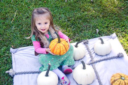 Pumpkin Patch Island Farm