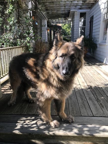 Additional Security at the Cameron House Inn