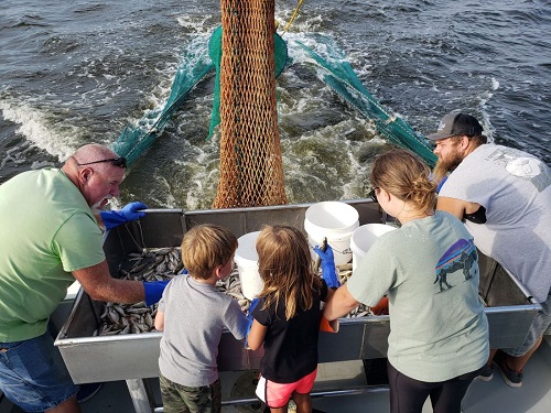 Mid-Morning Shrimp & Crab Charter, Risky Business Shrimping & Crabbing  Charters