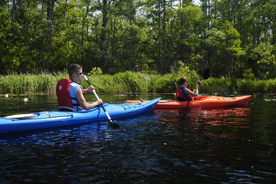 5 Only on the Outer Banks Kayaking Adventures