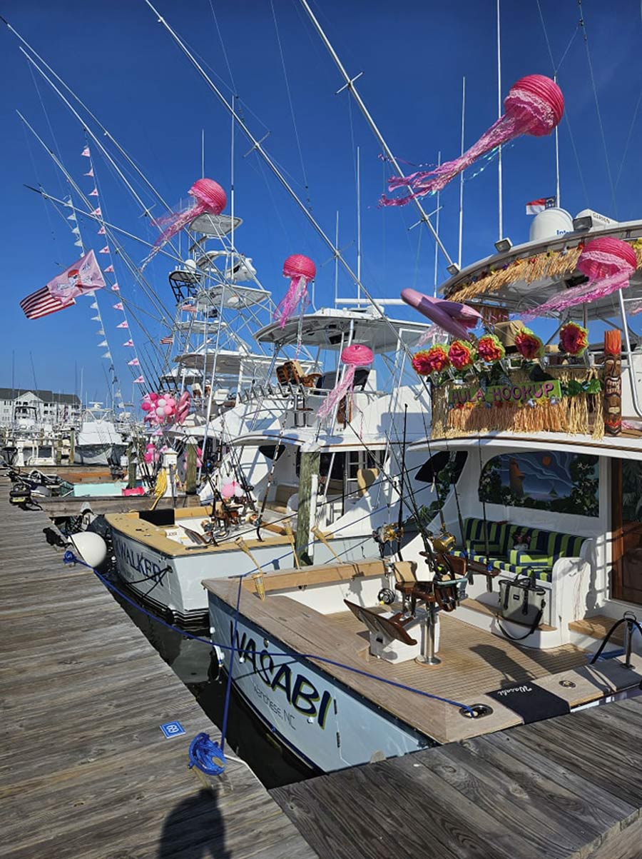 Alice Kelly Billfish Tournament 2024 Calendar Fancy Jaynell