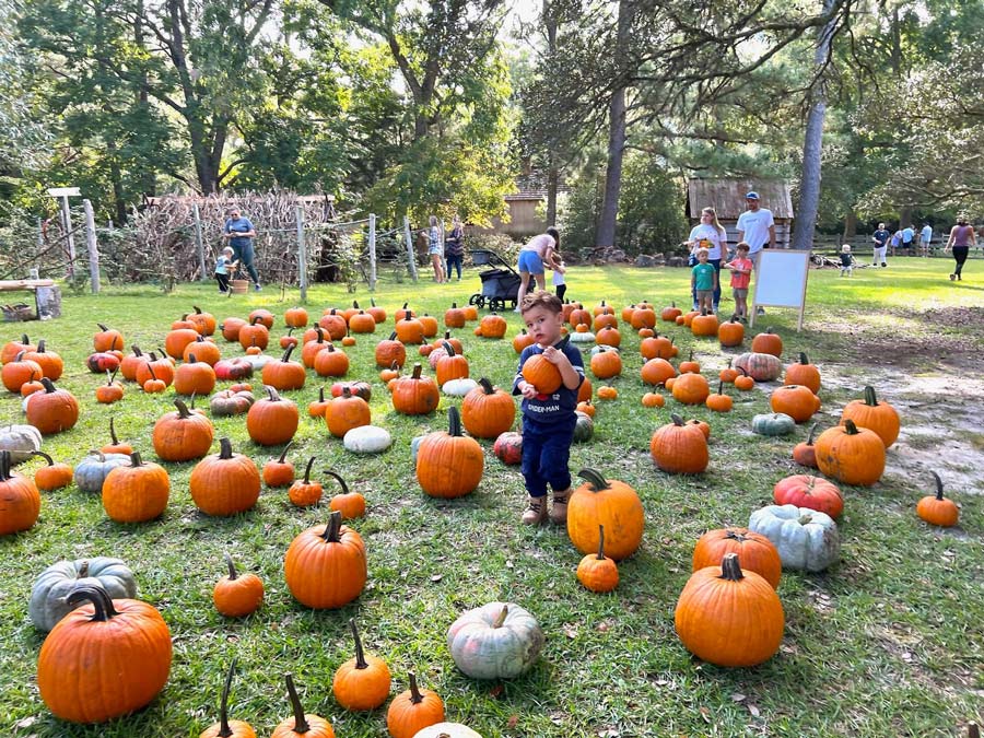 Outer Banks Halloween Events 2024 Outer Banks, NC