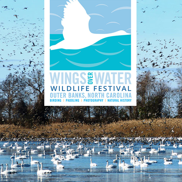 Wings Over Water Festival