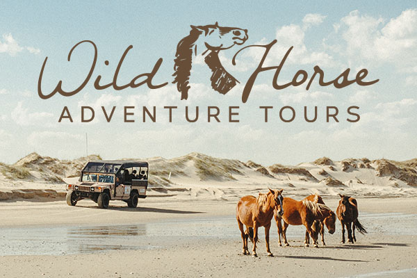 Wild Horse Adventure Tours