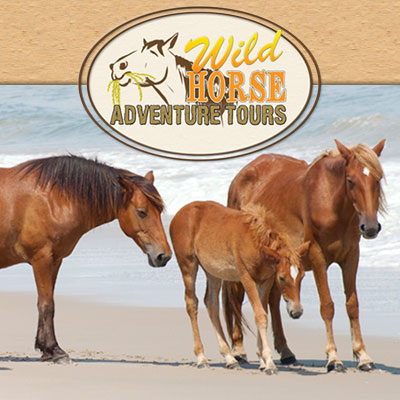 wild horse adventure tours tours