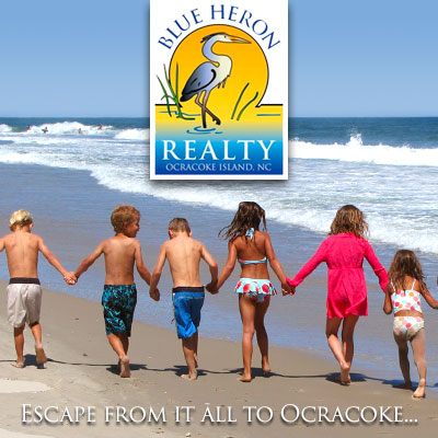 Blue Heron Realty