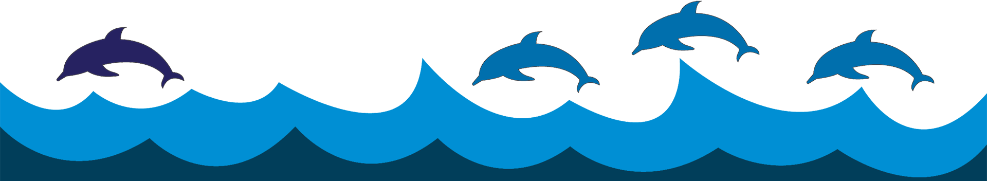 dolphin cruises.com