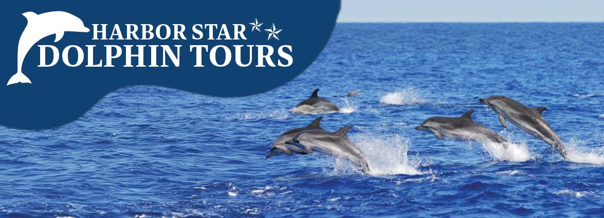 Harbor Star Dolphin Tours