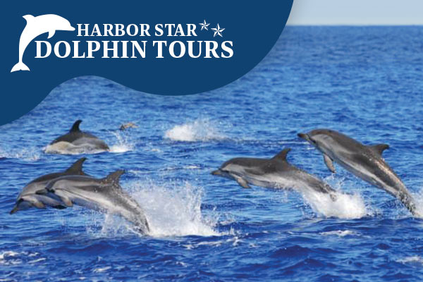 Harbor Star Dolphin Tours