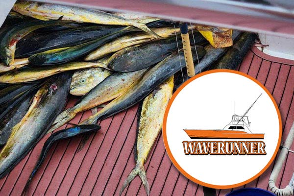 Waverunner Fishing Charters