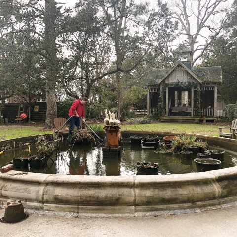 Koi Pond Being Drained