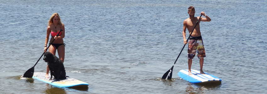 Standup Paddleboards (SUP)
