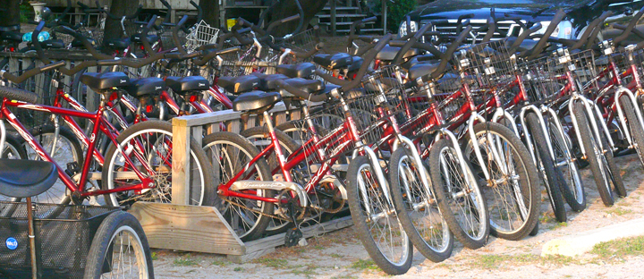 The Slushy Stand Bike Rentals