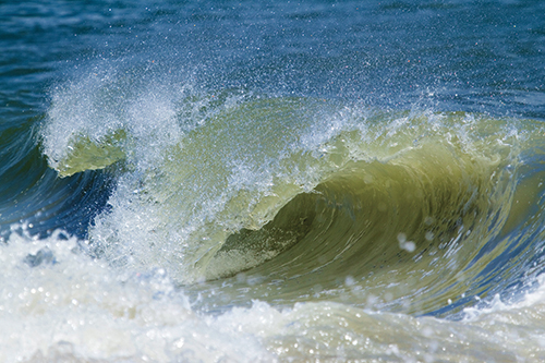 Kitty Hawk NC Ocean Wave