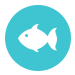 Oregon Inlet Fishing Center Fishing Reports
