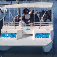 Paradise Dolphin Cruises photo