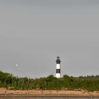 Paradise Dolphin Cruises photo