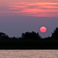 Paradise Dolphin Cruises photo